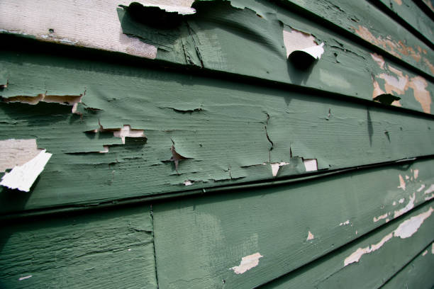 Best Historical Building Siding Restoration  in Belding, MI