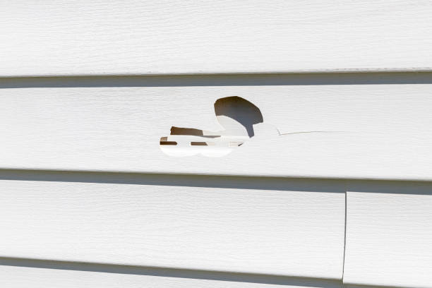 Best Insulated Siding Installation  in Belding, MI