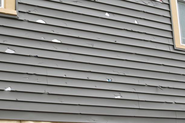 Siding for Commercial Buildings in Belding, MI